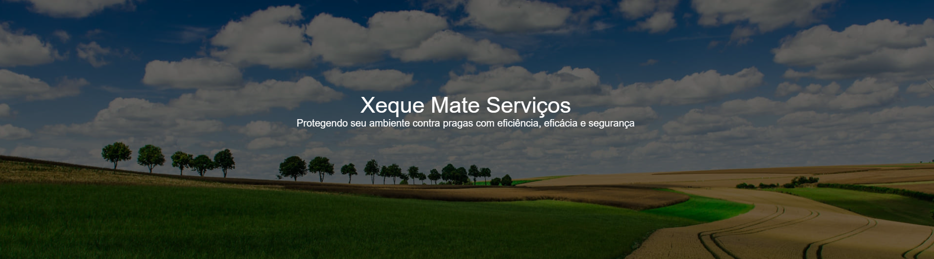 Xequemate Serviços - Site desenvolvido pela Fate Eight Tech