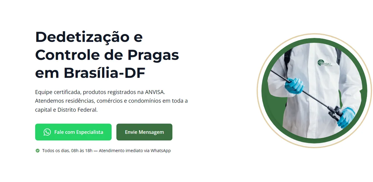 Novo site da Brasali Dedetizadora em desenvolvimento